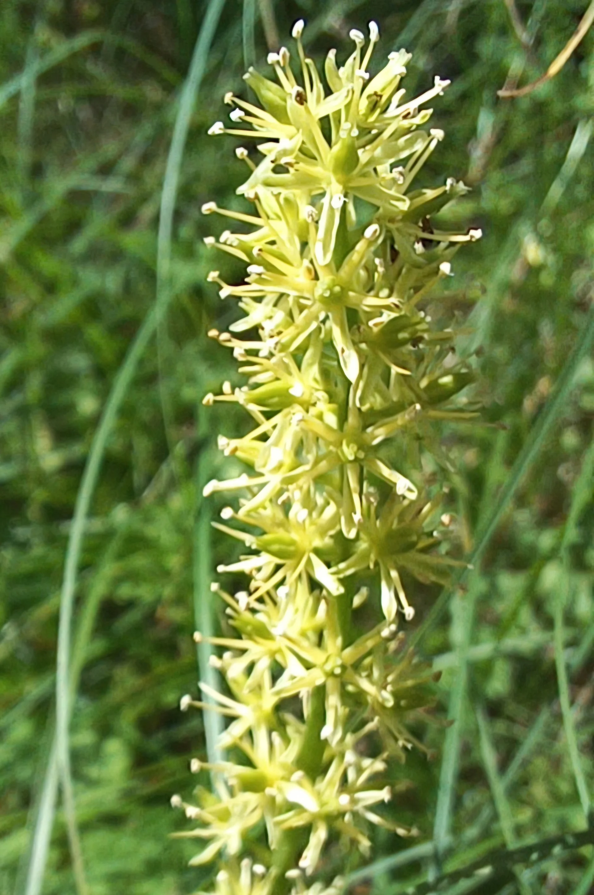 © Bergfreunde München hn