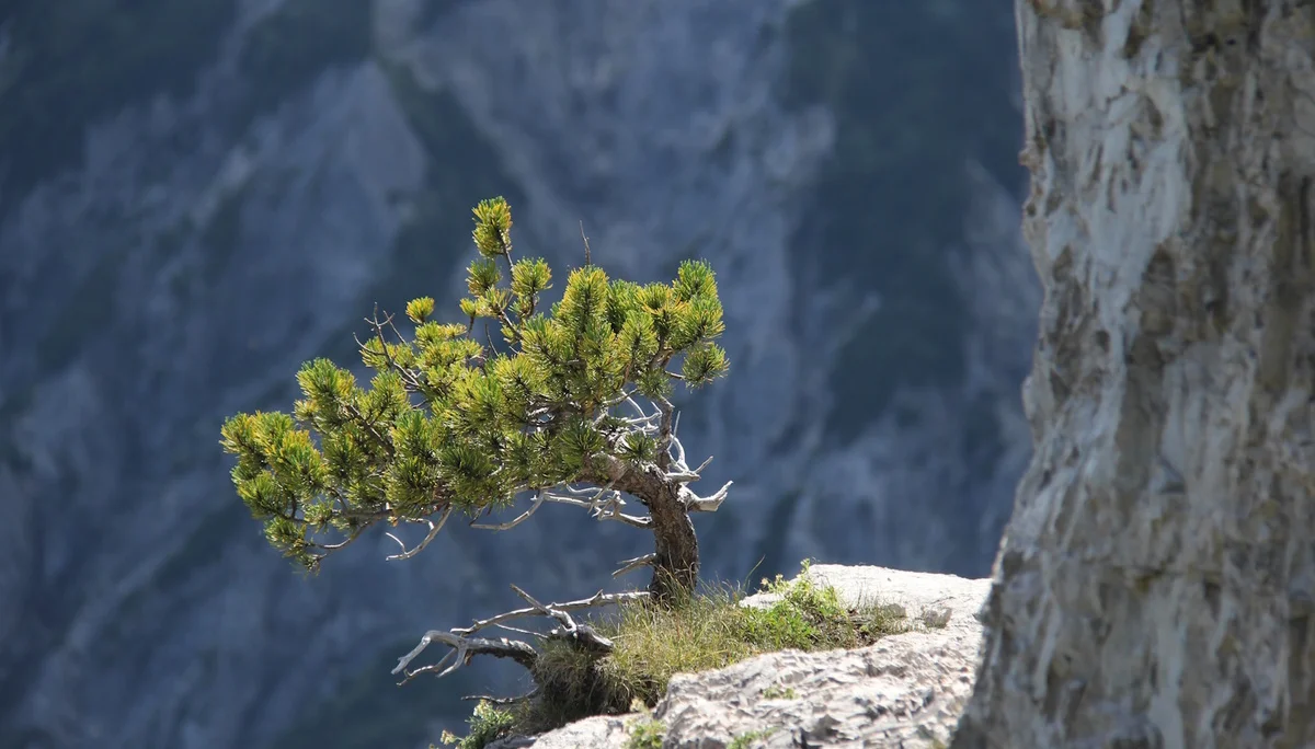 © Bergfreunde München