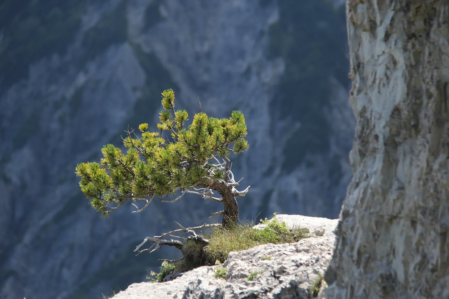 © Bergfreunde München