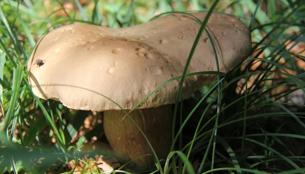 © Bergfreunde München