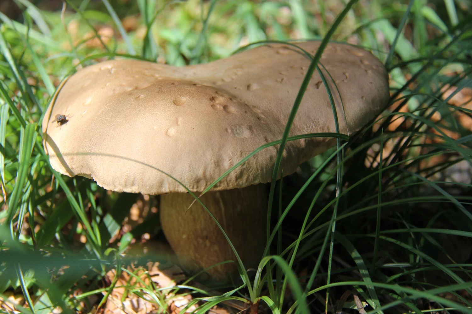 © Bergfreunde München