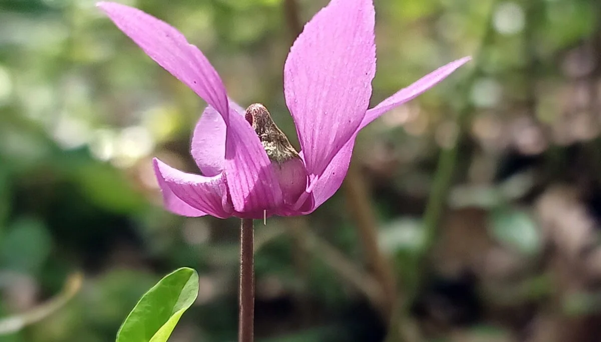 © Bergfreunde München