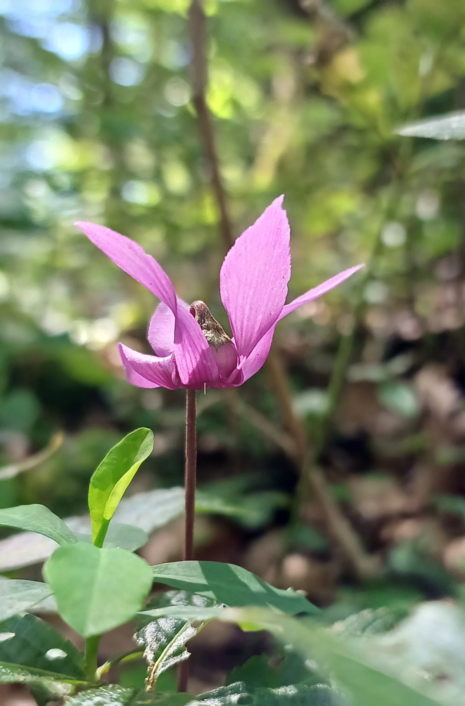 © Bergfreunde München