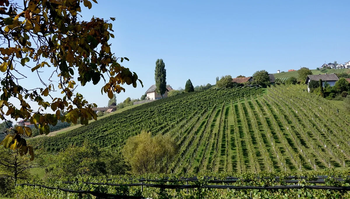 © Bergfreunde München 