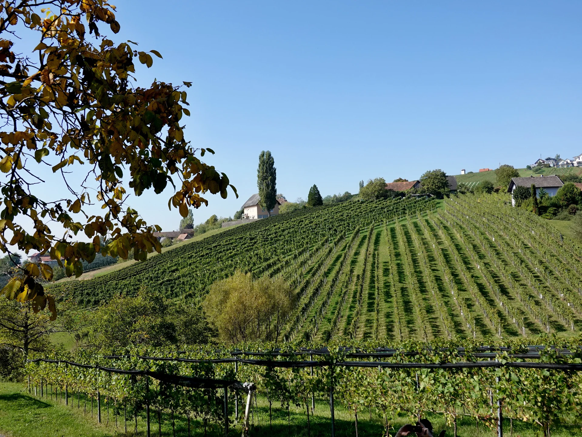 © Bergfreunde München 