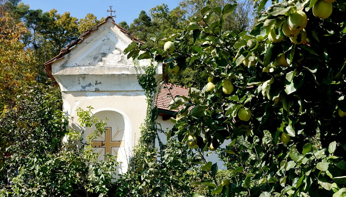 © Bergfreunde München 