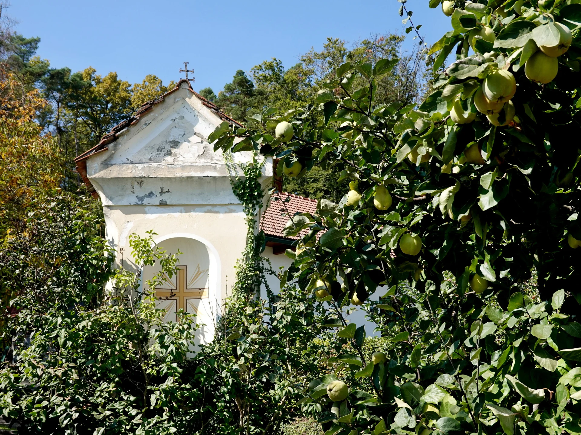 © Bergfreunde München 