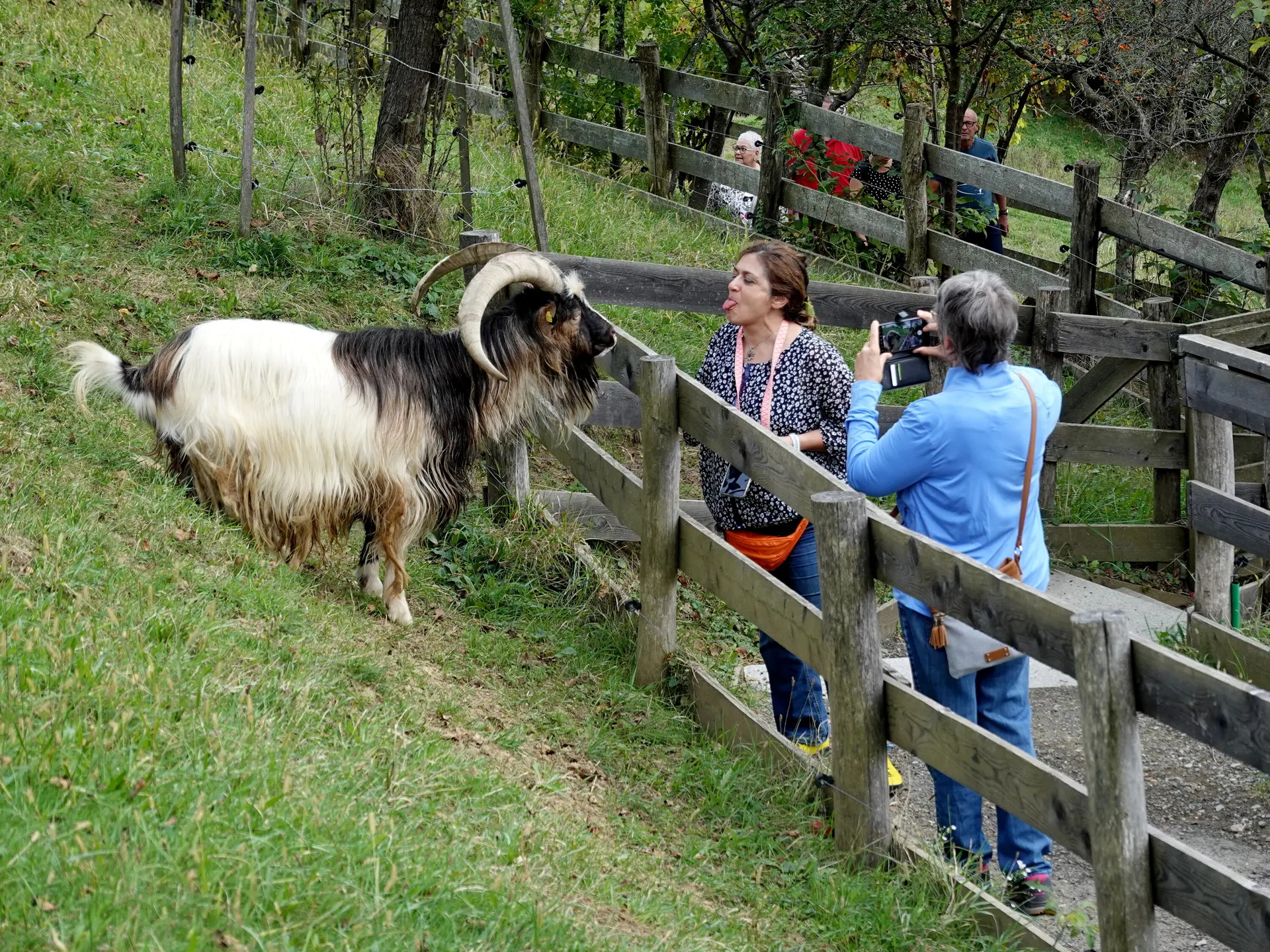 © Bergfreunde München 