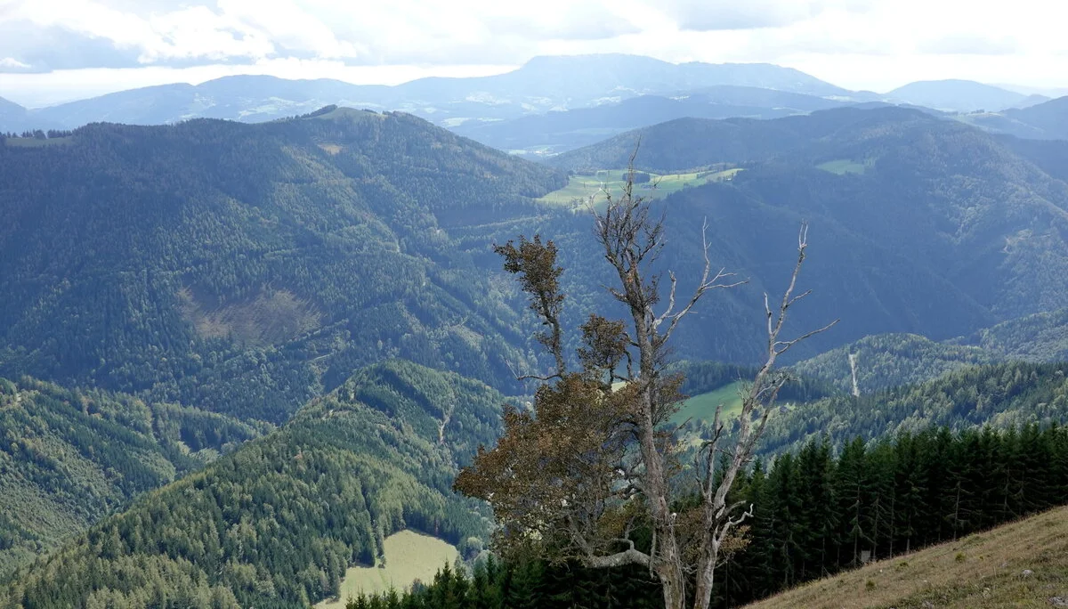 © Bergfreunde München 