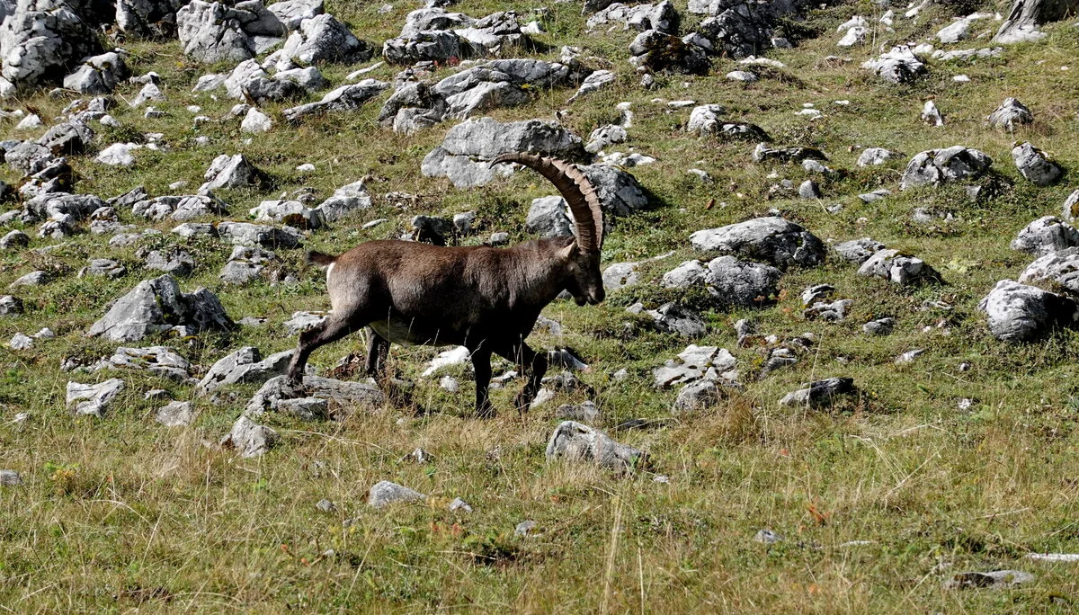 © Bergfreunde München 