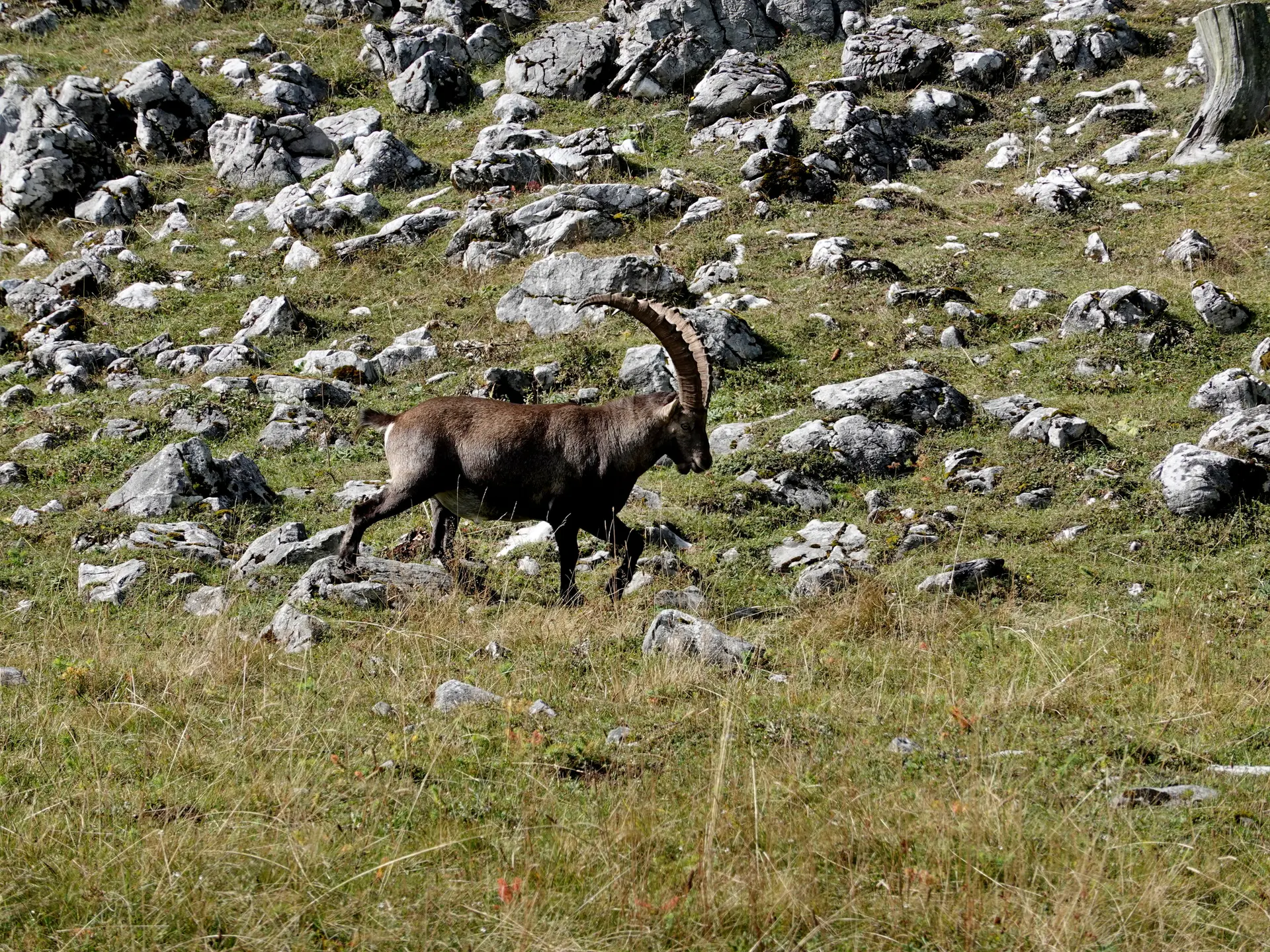 © Bergfreunde München 