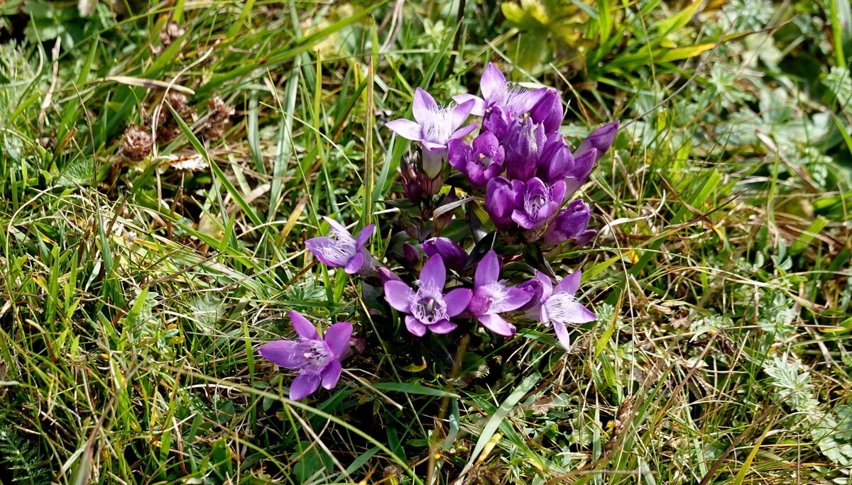 © Bergfreunde München 