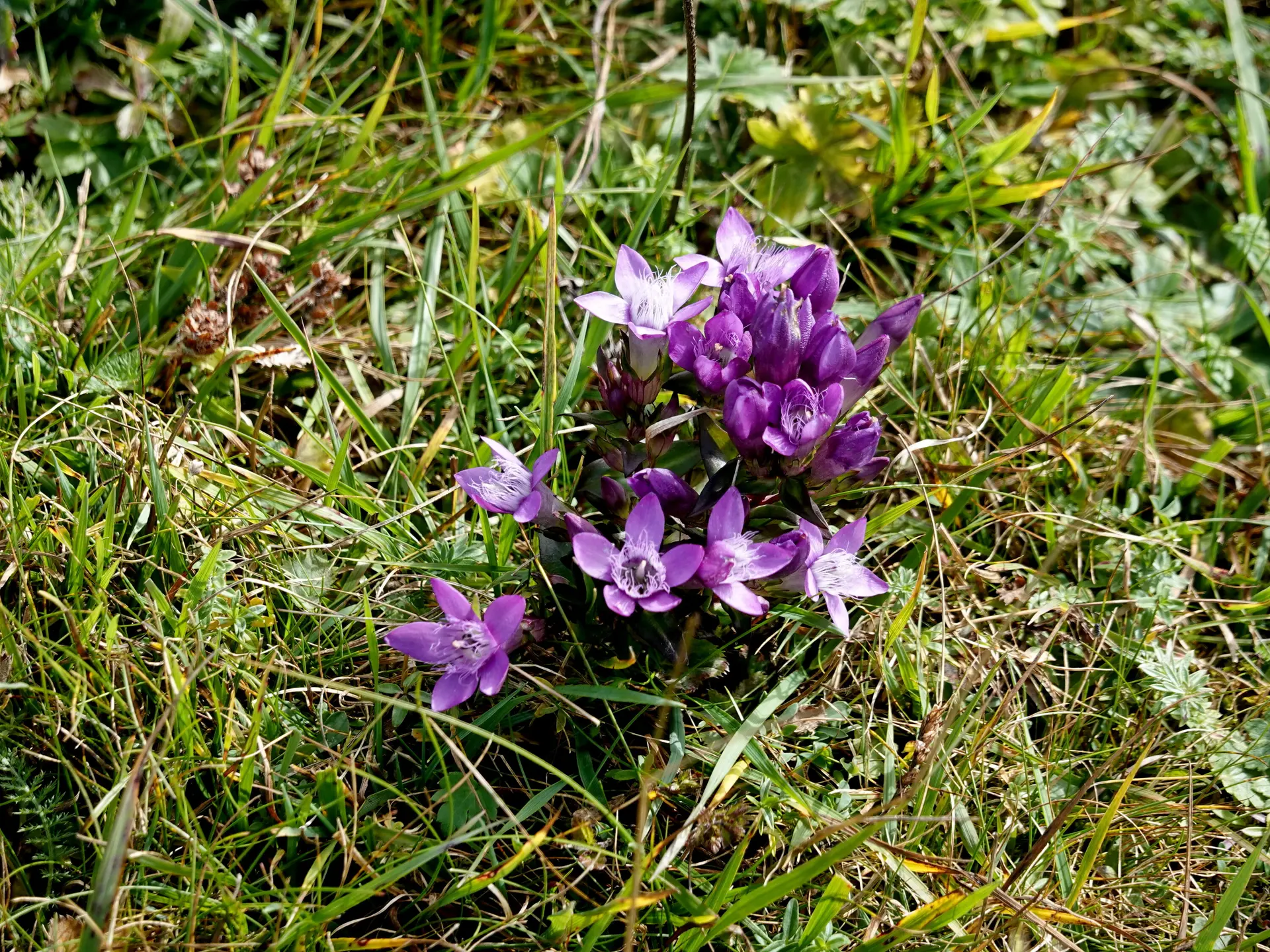© Bergfreunde München 
