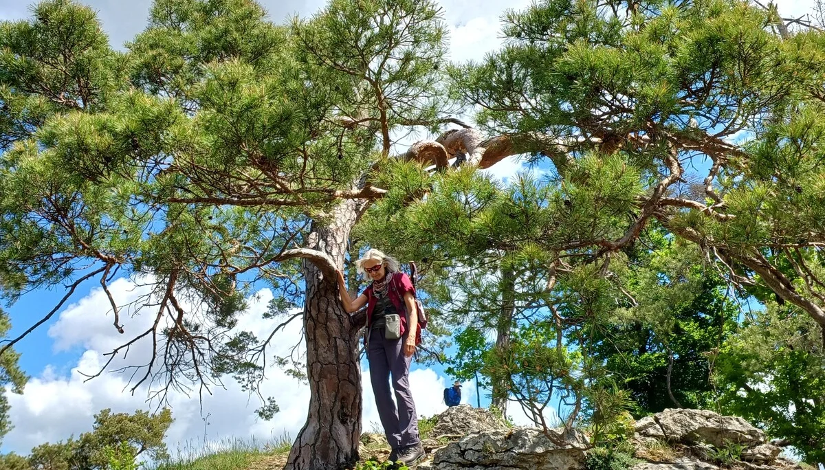 © Bergfreunde München hn