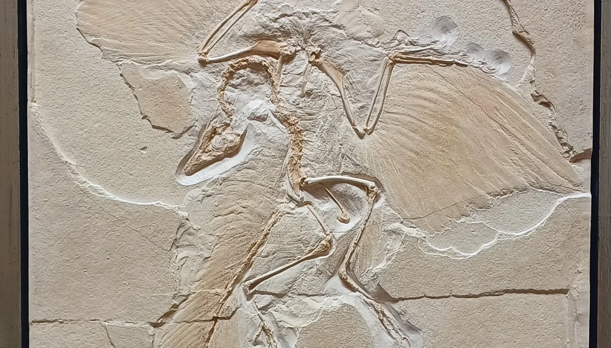 © Bergfreunde München hn