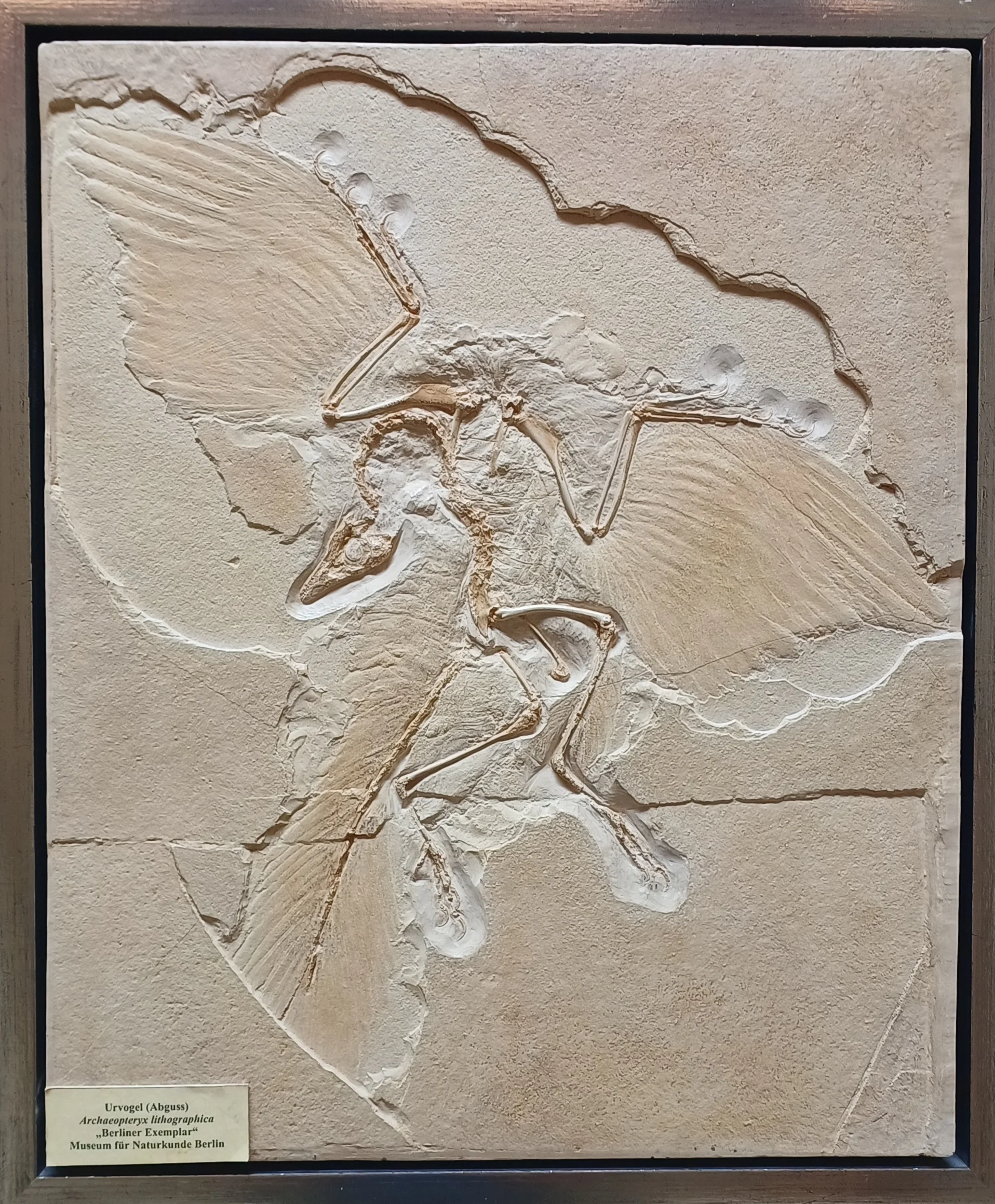 © Bergfreunde München hn