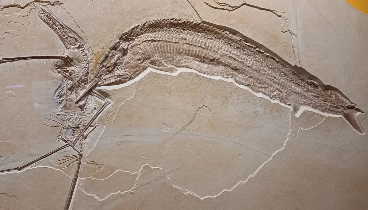 © Bergfreunde München hn