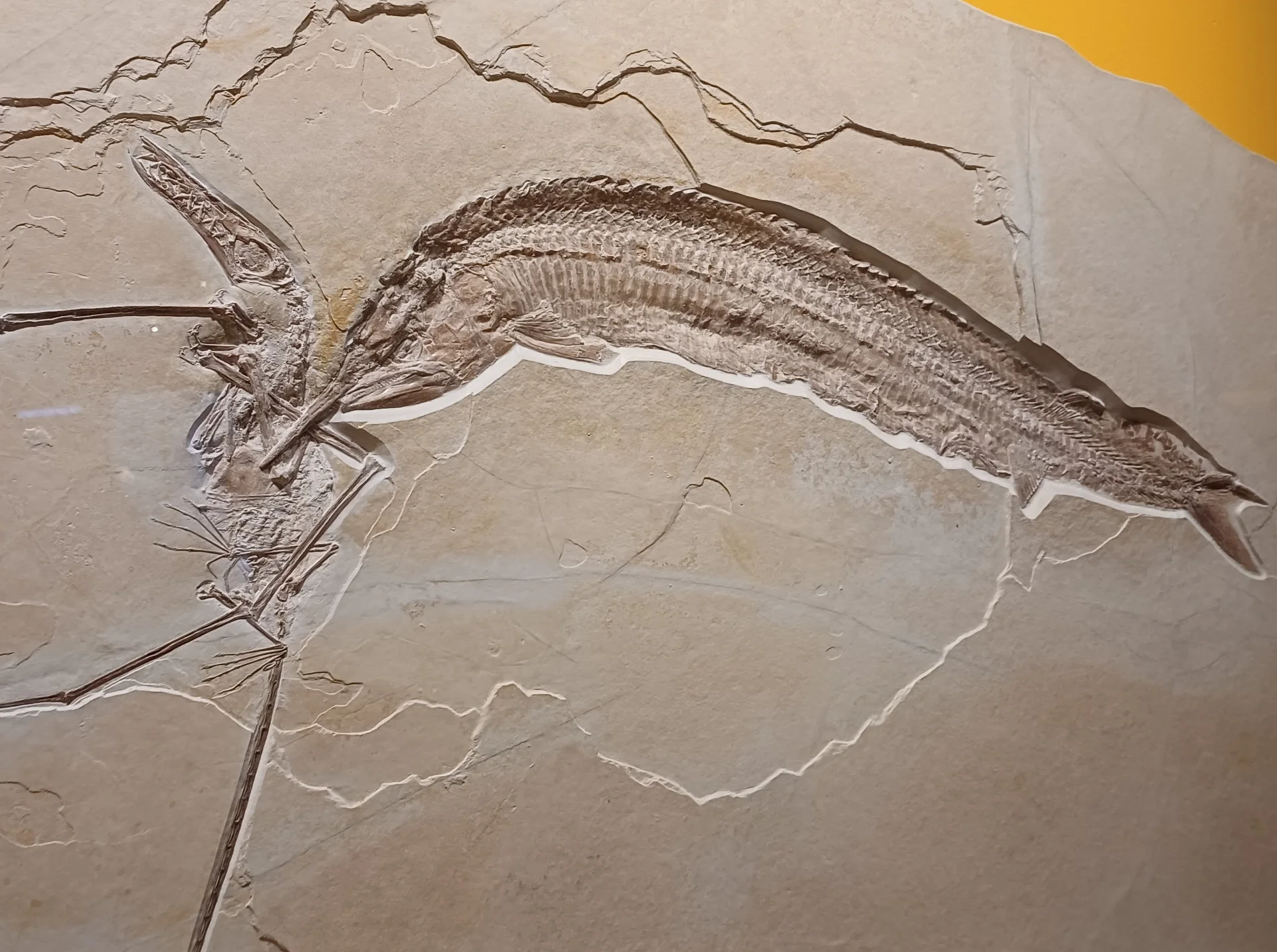 © Bergfreunde München hn