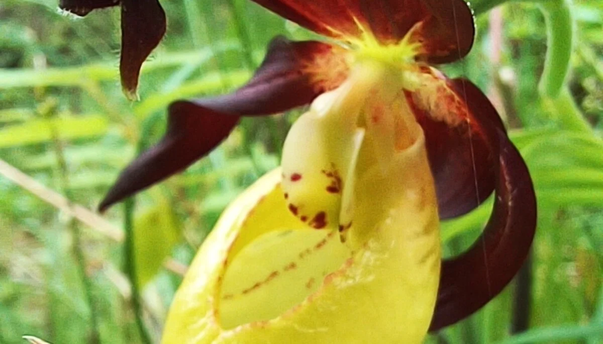 © Bergfreunde Muenchen hn