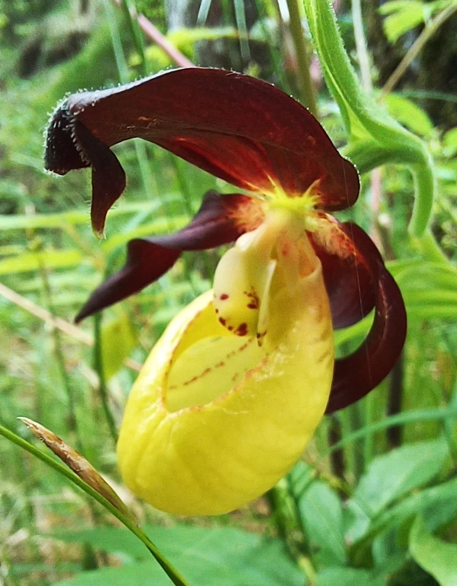 © Bergfreunde Muenchen hn