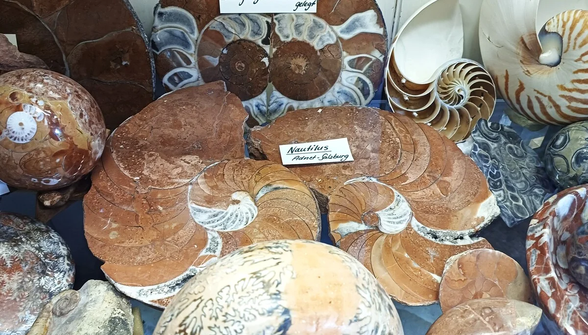 © Bergfreunde Muenchen hn