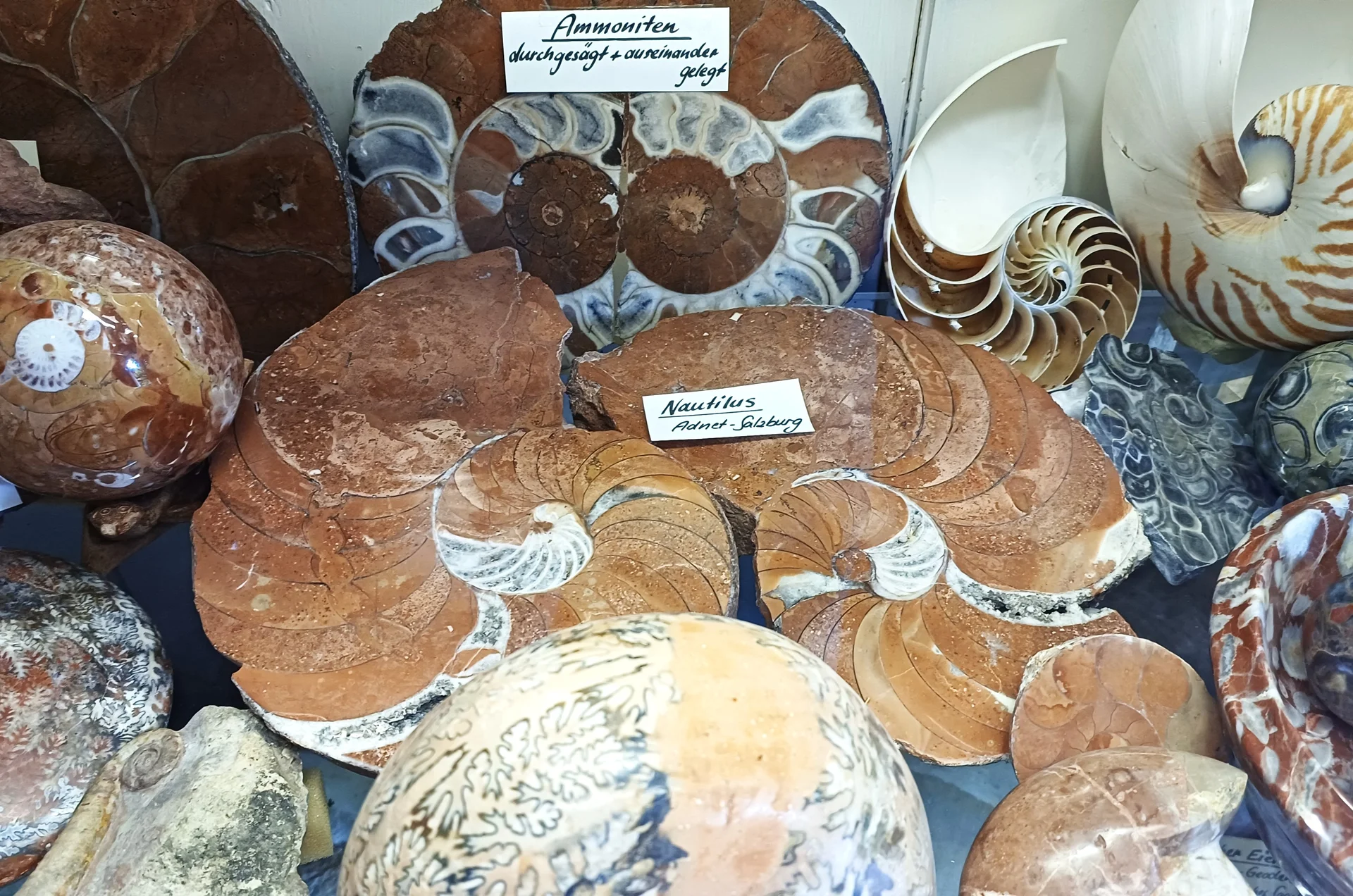 © Bergfreunde Muenchen hn