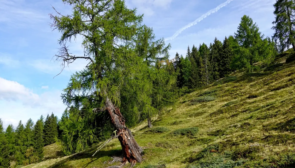 © Bergfreunde Muenchen EH