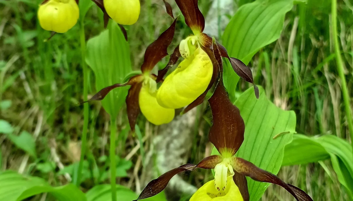© Bergfreunde München