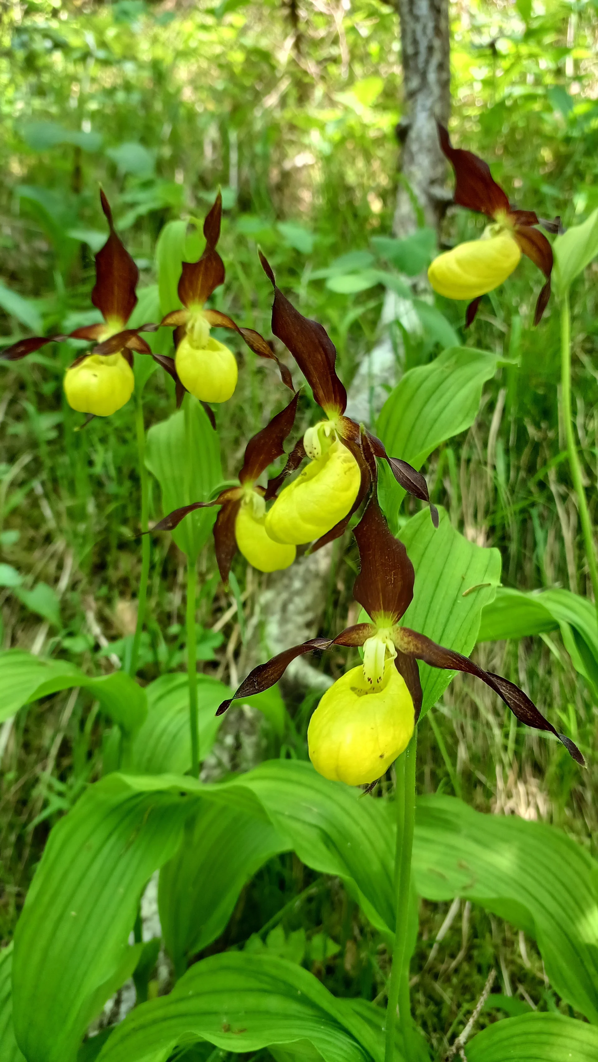 © Bergfreunde München