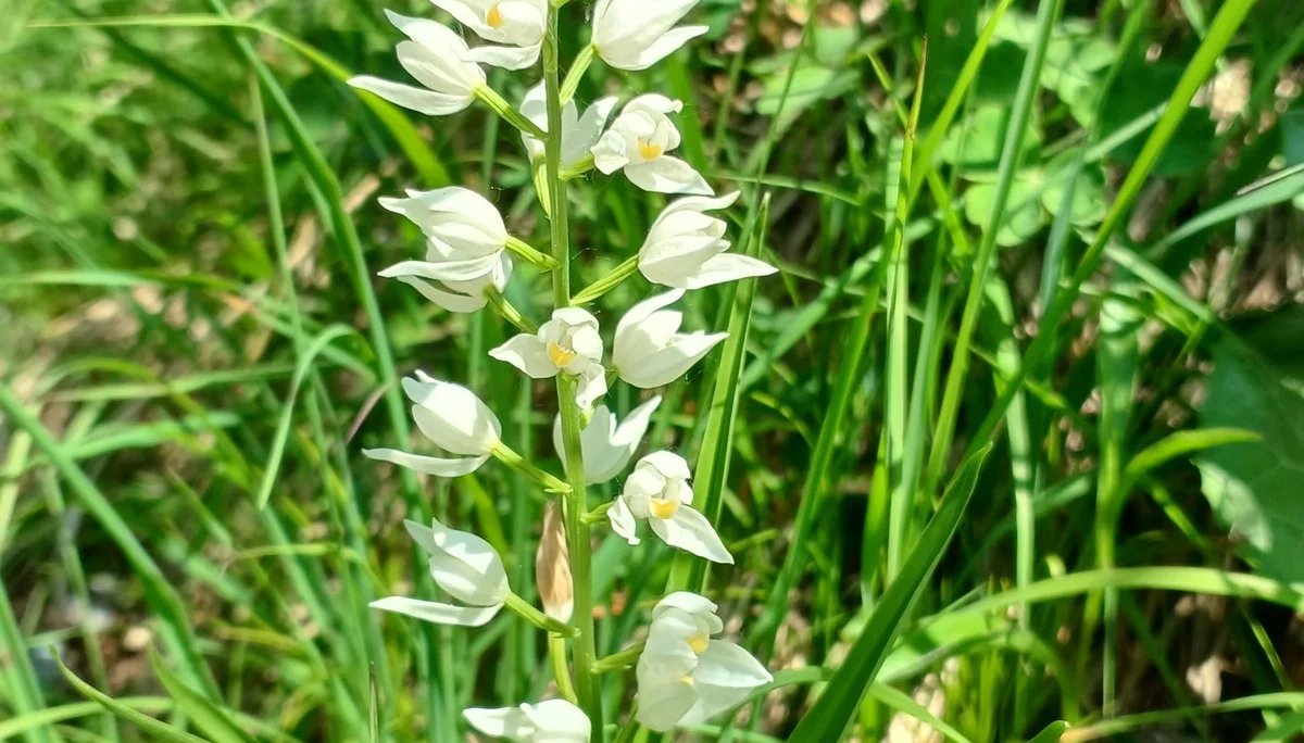 © Bergfreunde München