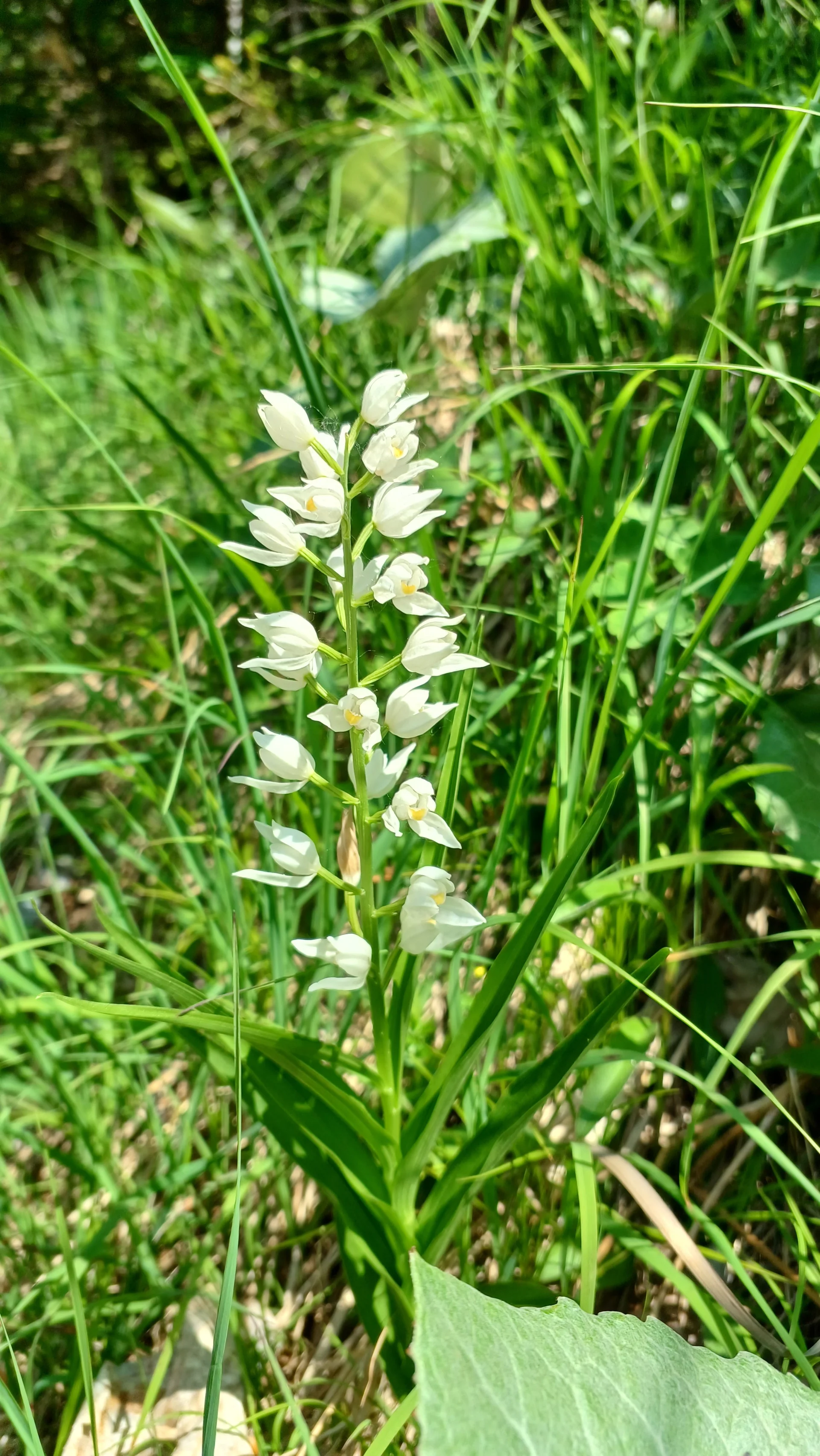 © Bergfreunde München