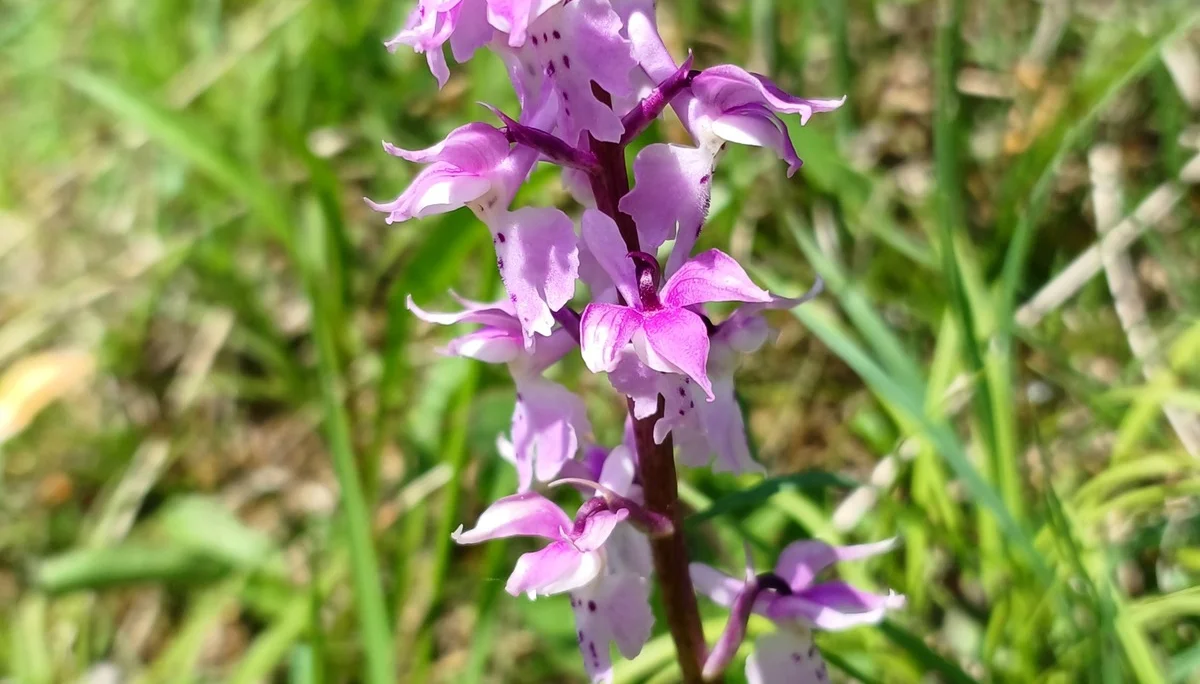 © Bergfreunde München