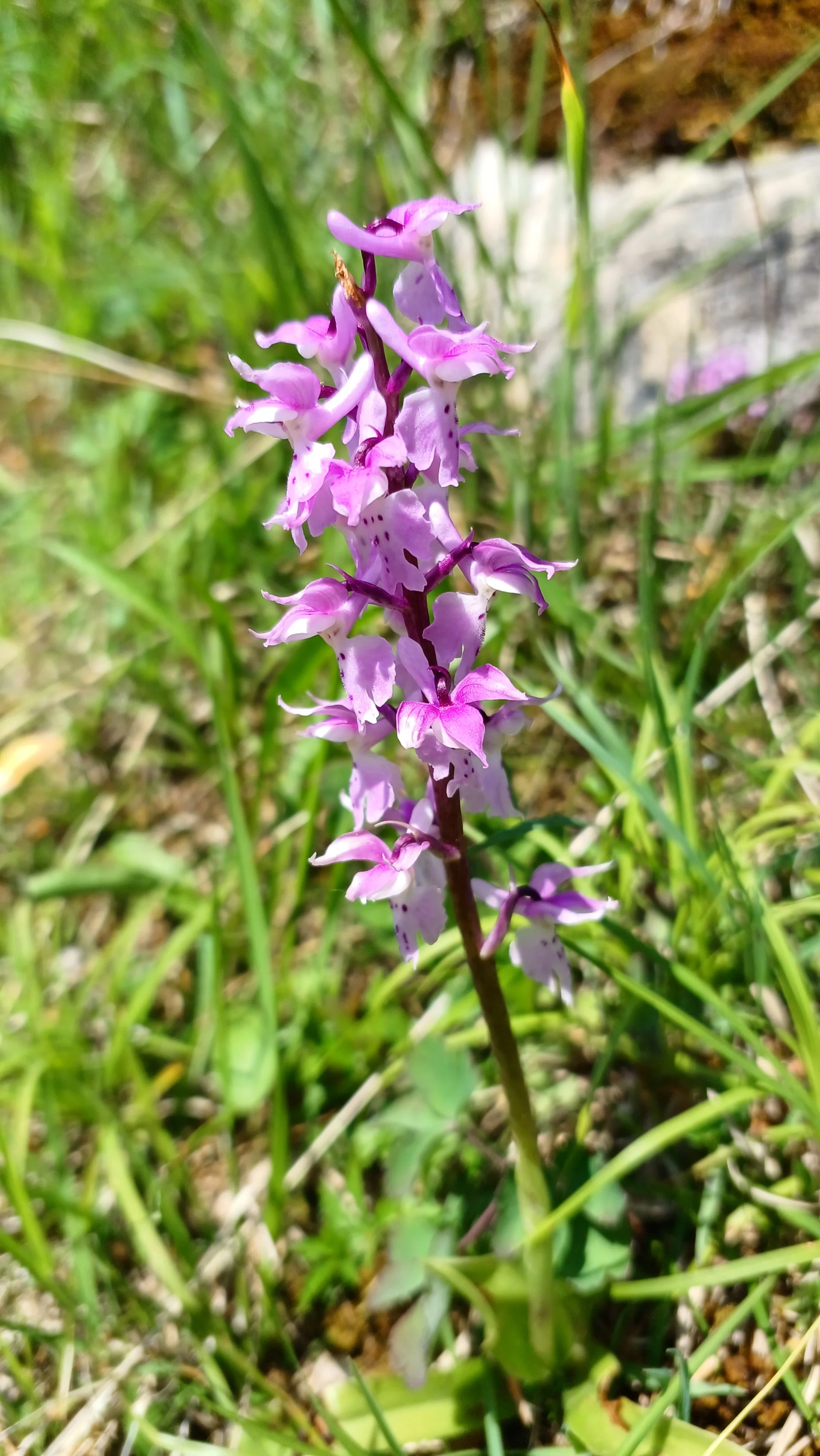 © Bergfreunde München