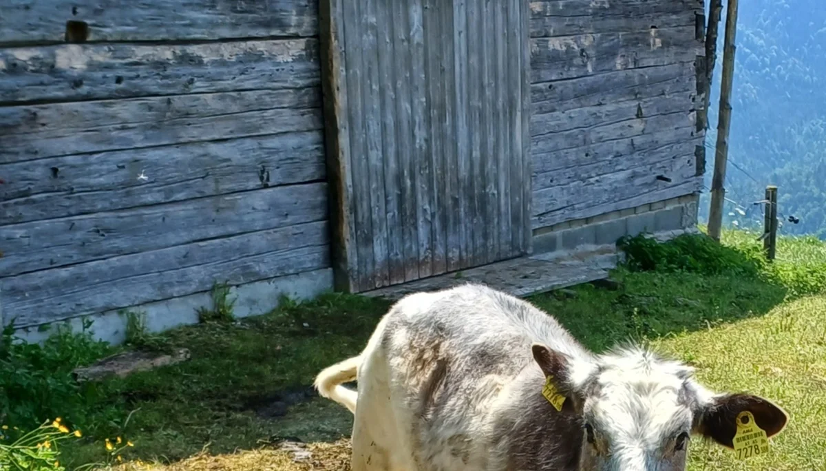 © Bergfreunde München