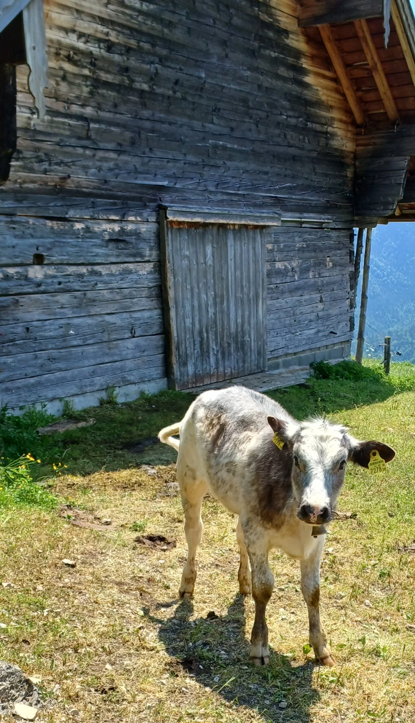 © Bergfreunde München