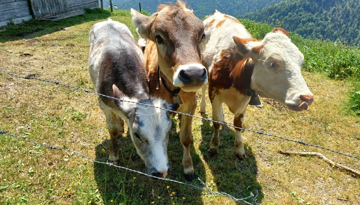 © Bergfreunde München