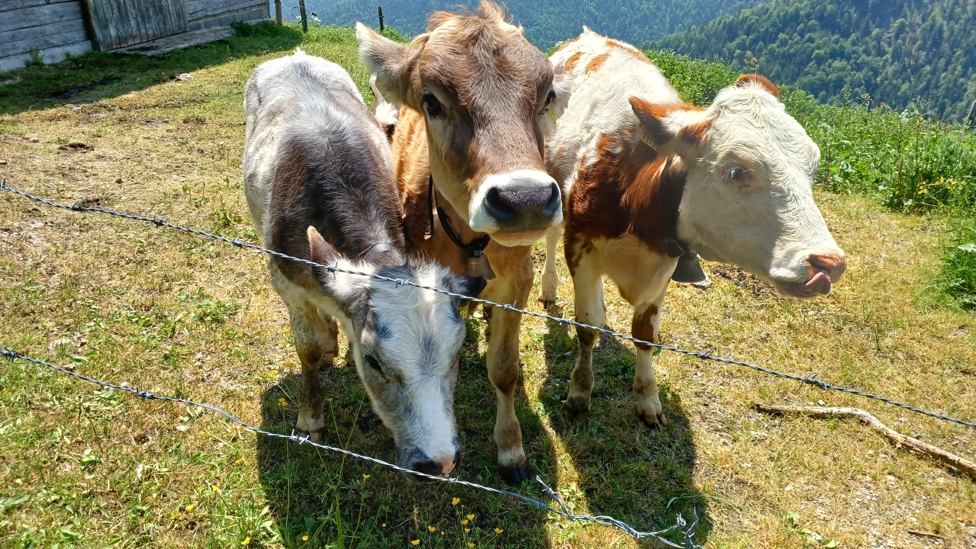 © Bergfreunde München