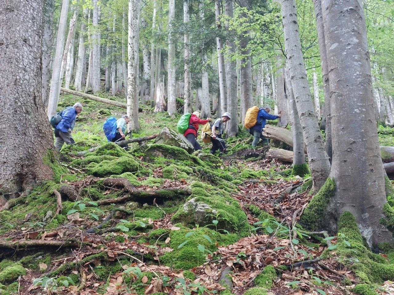 © Bergfreunde München ms