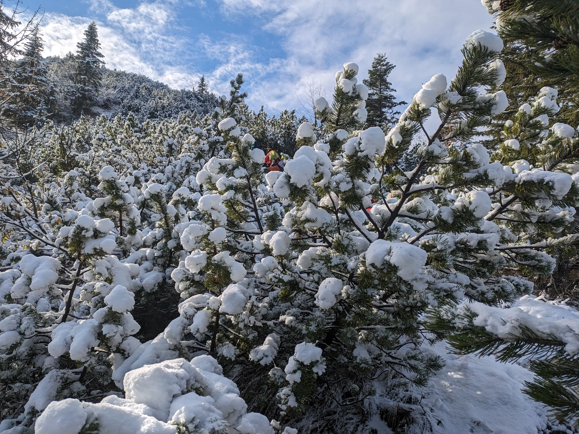 © Bergfreunde Muenchen BHS