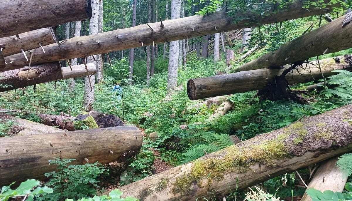 © Bergfreunde München hn