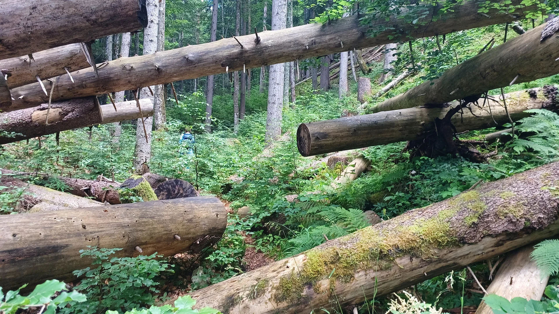 © Bergfreunde München hn