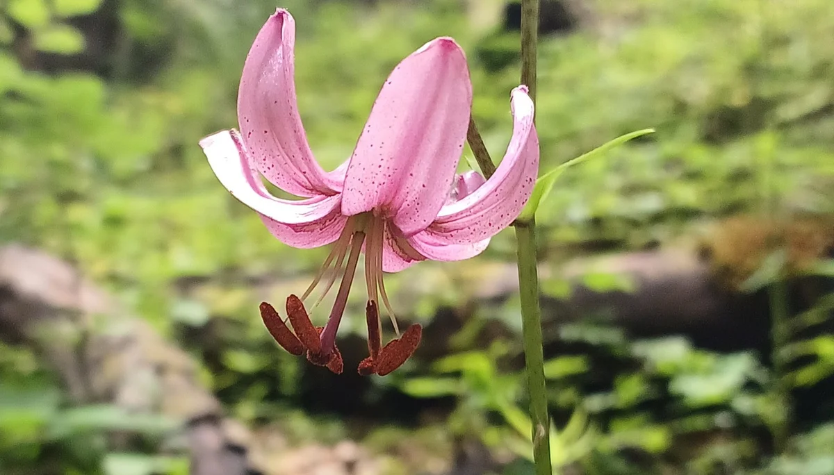 © Bergfreunde München hn