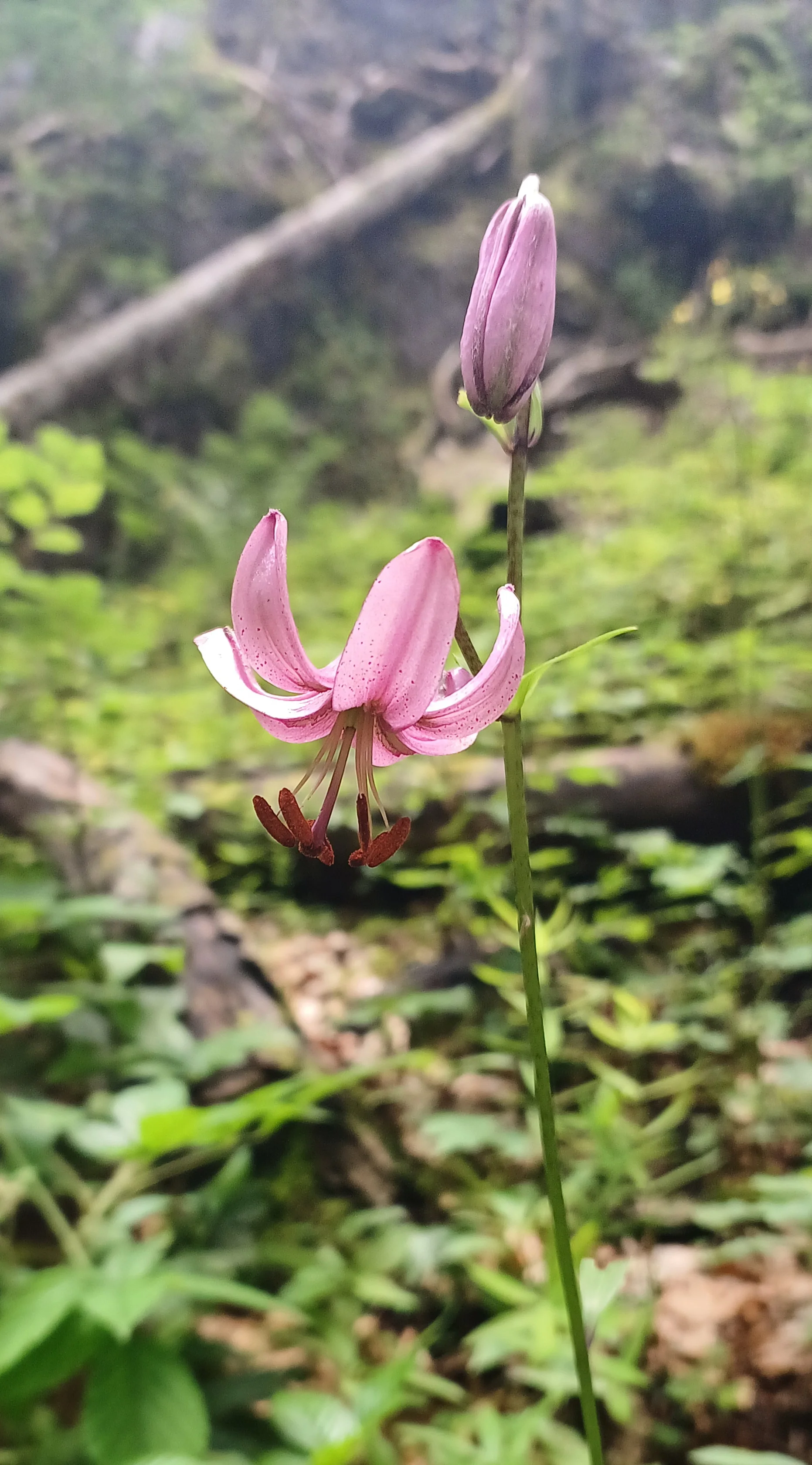 © Bergfreunde München hn
