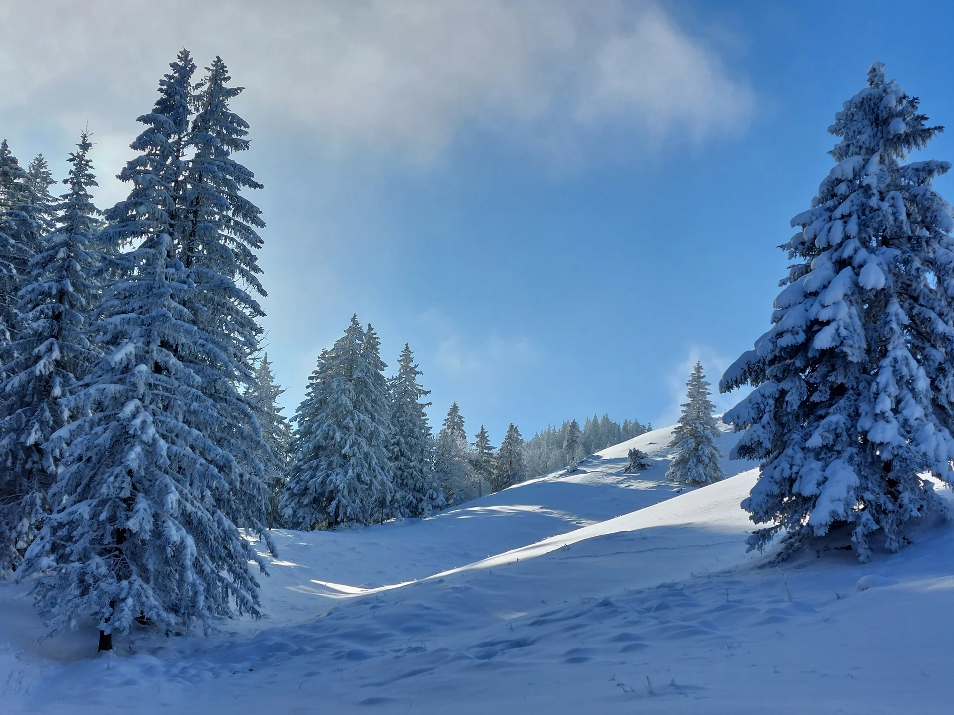© Bergfreunde München WM
