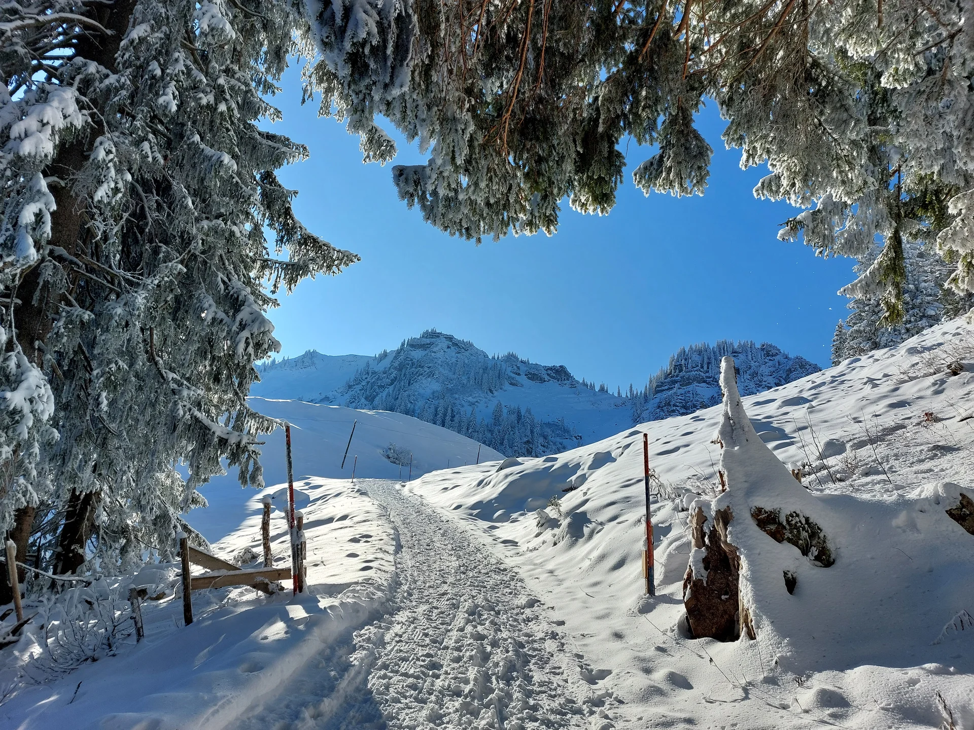 © Bergfreunde München WM