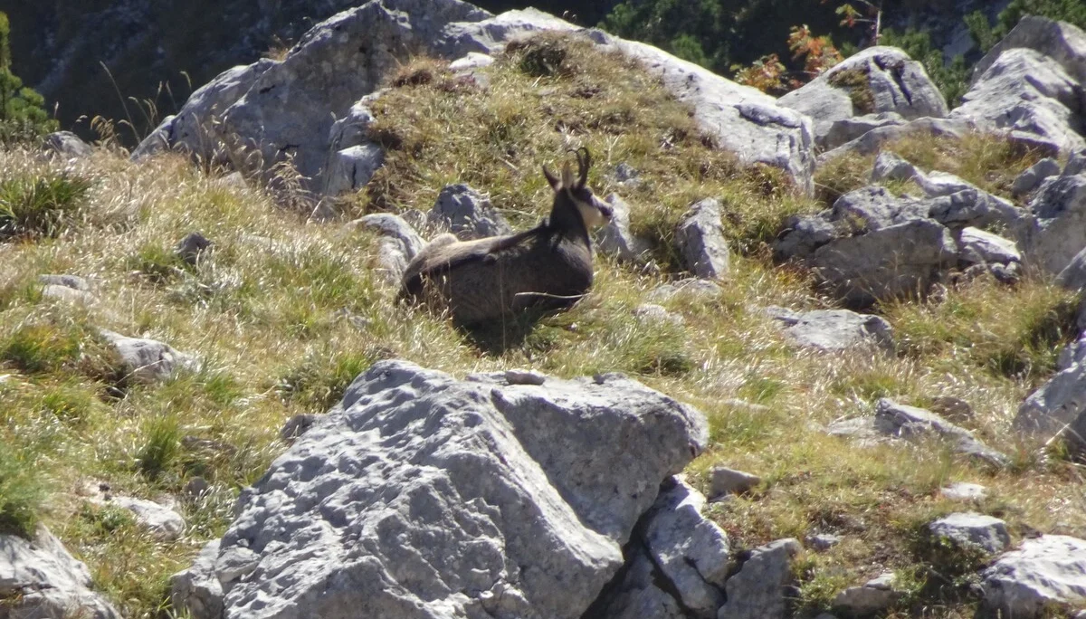 © Bergfreunde München
