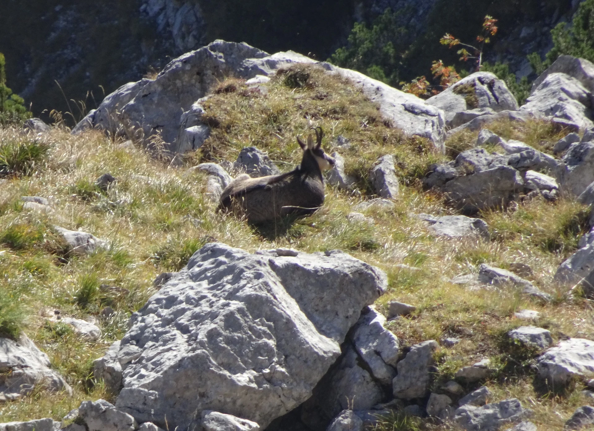 © Bergfreunde München