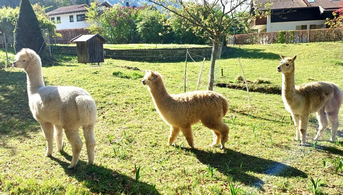 © Bergfreunde München