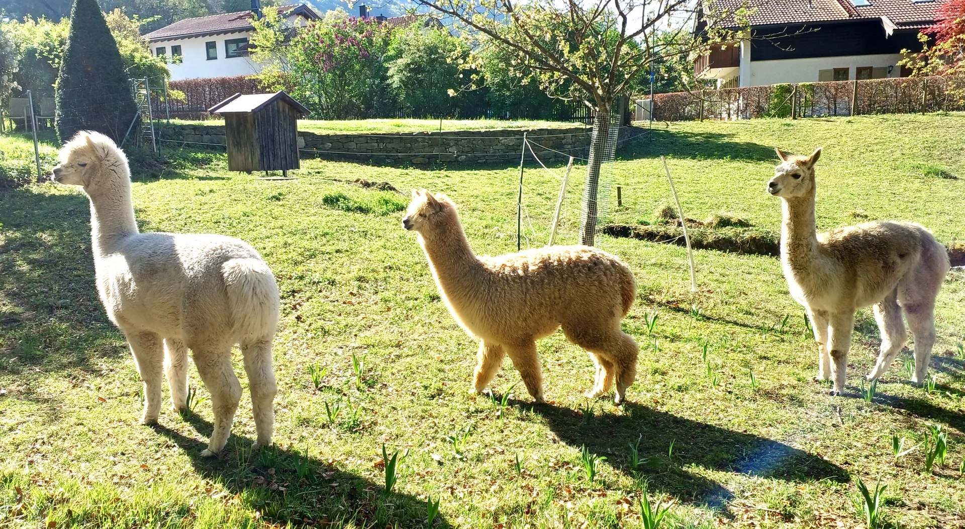 © Bergfreunde München