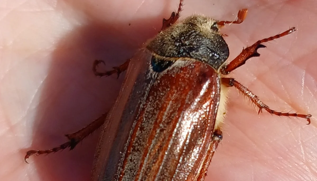 © Bergfreunde München